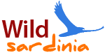 Logo Wild Sardinia